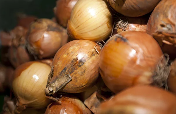 Onions in supermarket — Stock Photo, Image