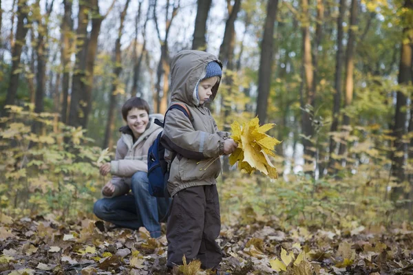 Mutter und Sohn sammeln Blätter — Stockfoto