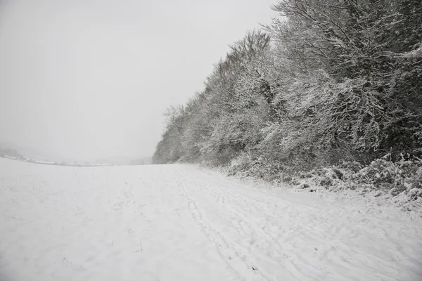 Campo cubierto de nieve — Foto de Stock