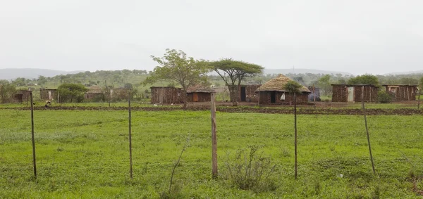 Mut hyddor i byn afrika — Stockfoto