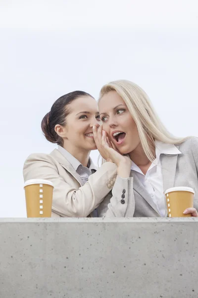 Mulheres de negócios compartilhando segredos — Fotografia de Stock