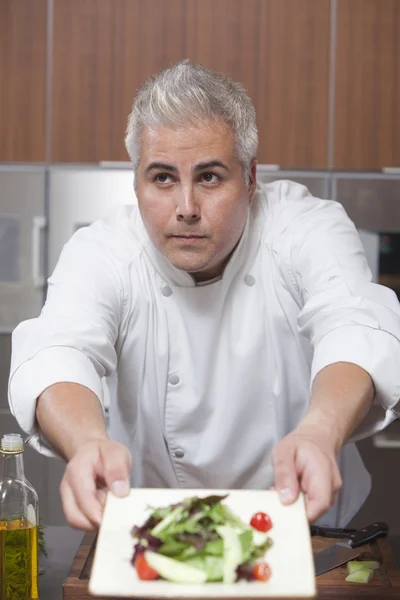 Mid- adult chef presents side salad — Stock Photo, Image