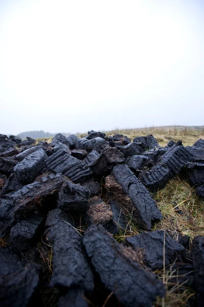 Peat cuttings — Stock Photo, Image