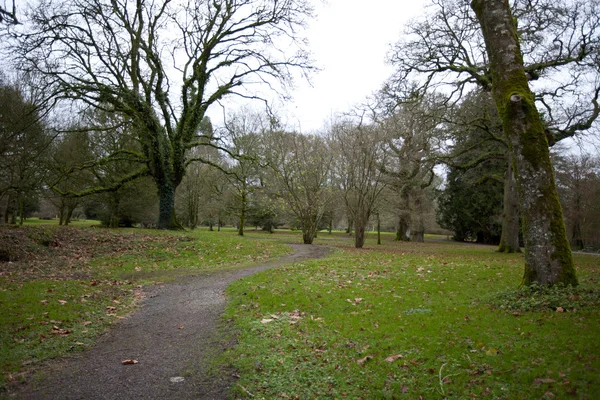 Terrain au château de Blarney — Photo