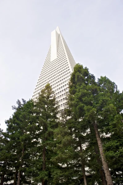 Transamerica Pyramid — Stock fotografie