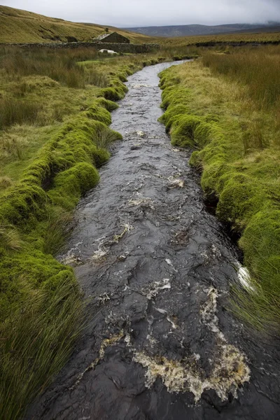 Brook in Yorkshire Dales — Stock Photo, Image