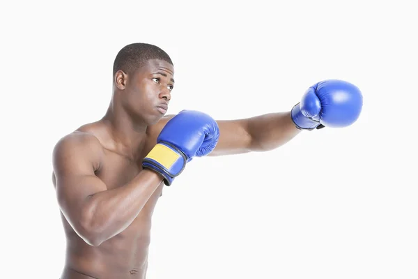 Joven boxeador — Foto de Stock