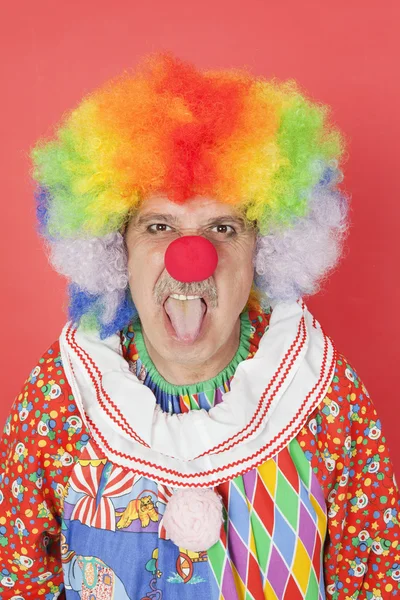 Senior male clown — Stock Photo, Image