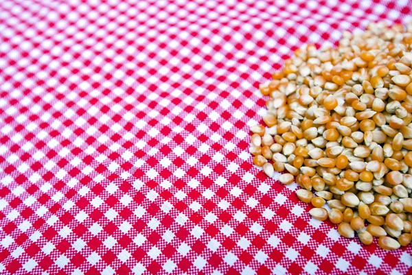 Corn kernels — Stock Photo, Image