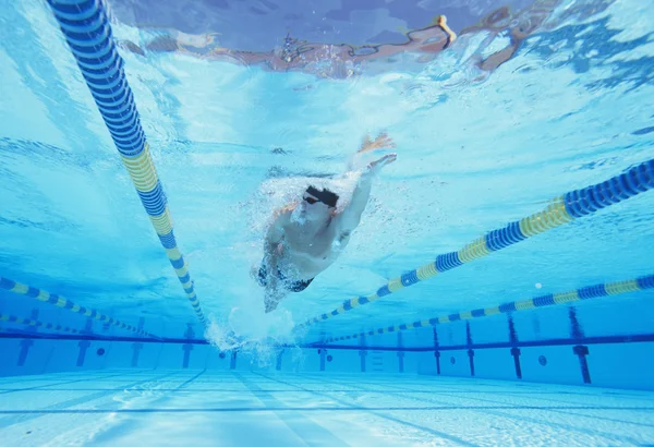 Simmare i poolen — Stockfoto