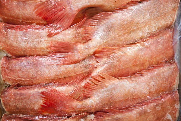 Pesce rosso appena pescato sul mercato — Foto Stock