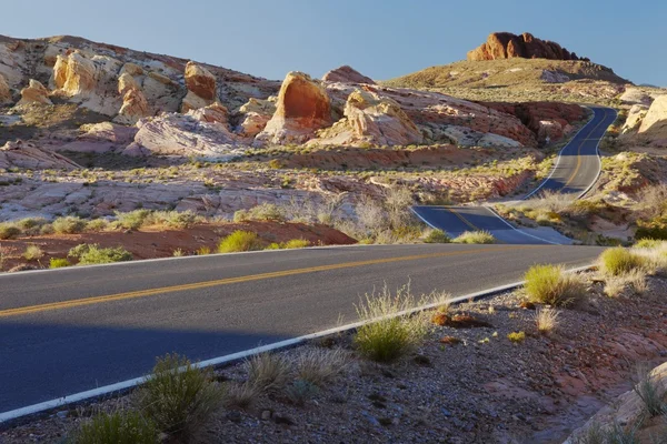 Desert road USA — Stock Photo, Image