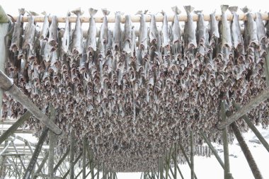 kurutulmuş cod stockfish