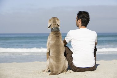 İnsan ve köpek oturma plaj