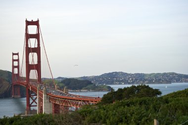 golden gate Köprüsü'nün eğrisi