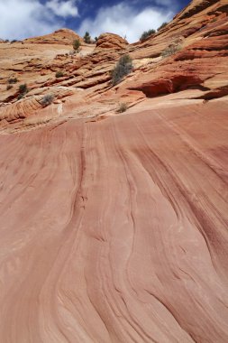 Kuzey Amerika'da kaya oluşumu