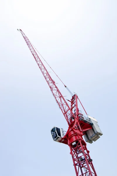 Grue rouge contre le ciel — Photo