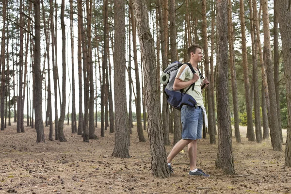 Mužské batohem trekking v lese — Stock fotografie