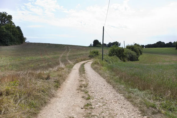 Route dans un champ herbeux — Photo