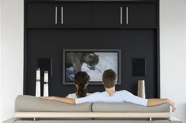 Couple watching wildlife movie — Stock Photo, Image