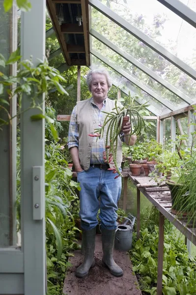 Zahradník, stojí ve skleníku — Stock fotografie