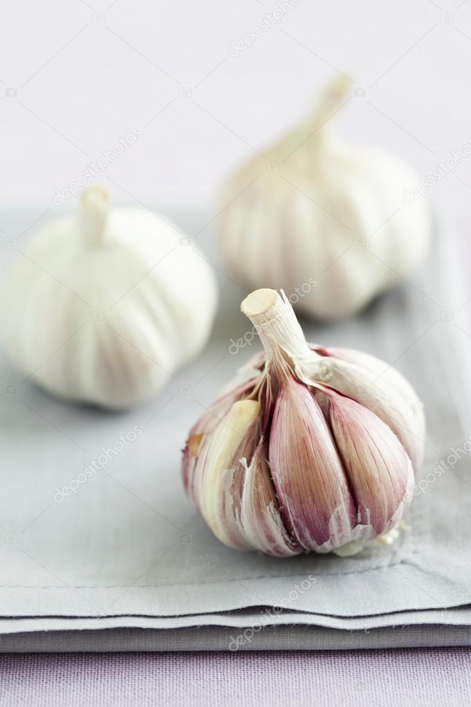 ripe garlic bulbs 