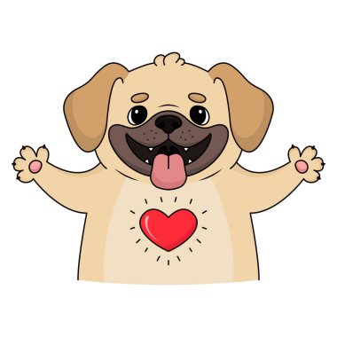 Şirin puggle köpeğinin sana sarılışının ve sevgisinin bir göstergesi. 