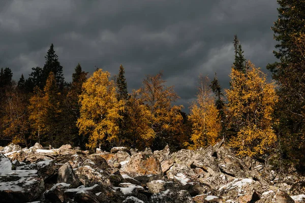 Herfstbos Met Donkerblauwe Lucht Aan Stenen Rivier Het Taganay National — Stockfoto