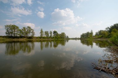 Yaz, günbatımından önce göl, ormanlık kıyılar.