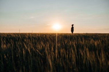 Bir kız sıcak bir yaz akşamında buğday tarlasında yürür.