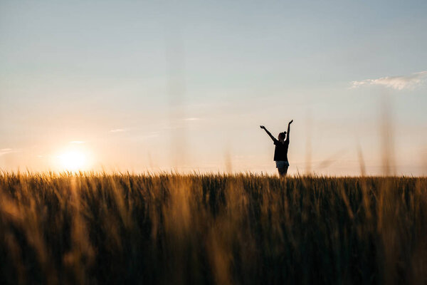 a girl walks in a wheat field on a warm summer evening