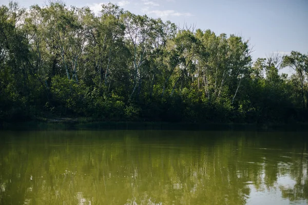 夜明けには木々に囲まれた夏の湖 — ストック写真