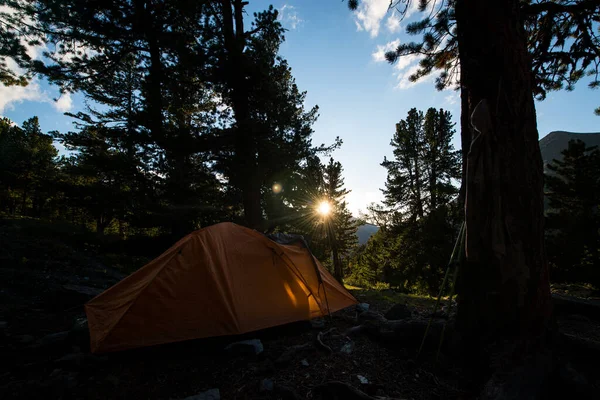 Samotny Pomarańczowy Namiot Górskim Lesie Promieniach Zachodzącego Słońca — Zdjęcie stockowe