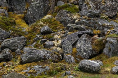 Yeşil yosunlarla kaplanmış dev taşlar.