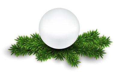 Noel arifesi dallar inci.
