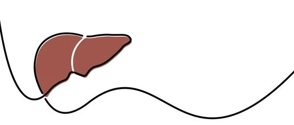 Esquema Hígado Marrón Dibujado Una Sola Línea Ilustración Vectorial — Archivo Imágenes Vectoriales