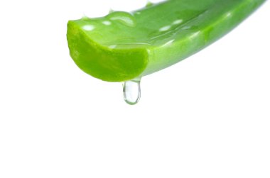 aloe vera üzerinde beyaz izole