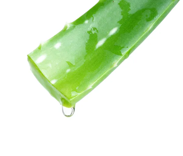 aloe vera üzerinde beyaz izole