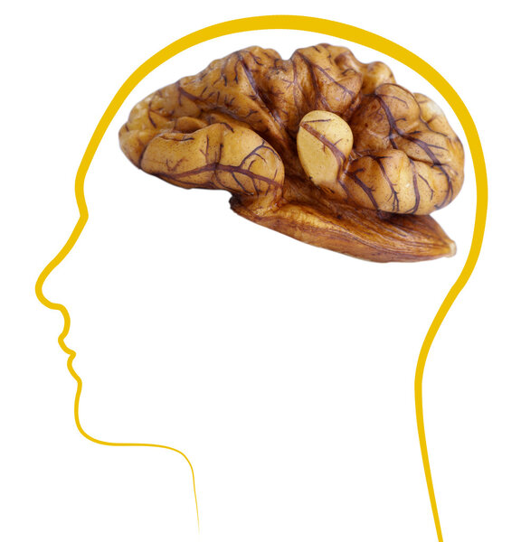 Walnut good brain health