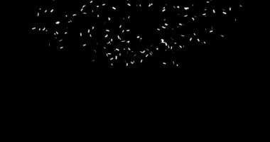 Doğum günü, düğün ve kutlama konsepti için konfeti arka planı, alfa mat tabakası.