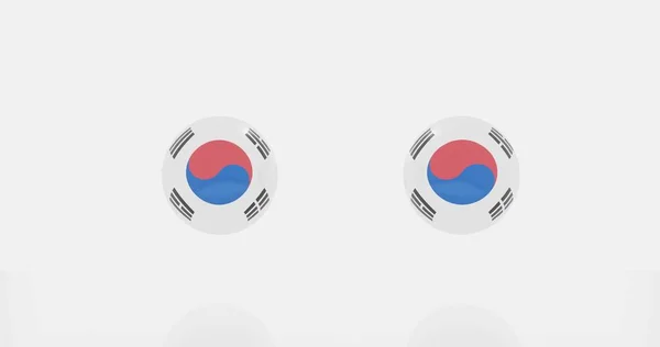 Weergave Van Wereldbol Zuid Korea Landen Vlag Voor Pictogram Symbool — Stockfoto