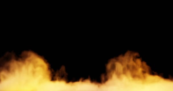3D为烧烤或壁炉而燃着的篝火 — 图库视频影像