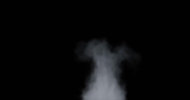 ビデオオーバーレイエフェクト用のクイック蒸気または煙の3Dレンダリング — ストック動画