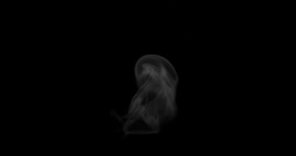 Render Smoke Steam Food Hot Surface Effect Video Overlay Set — Stockvideo