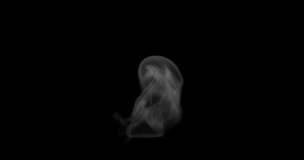 Render Smoke Steam Food Hot Surface Effect Video Overlay Set — Stock video