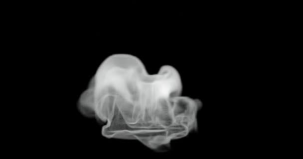 Καθιστούν Καπνό Ατμό Για Τρόφιμα Επίδραση Θερμής Επιφάνειας Για Την — Αρχείο Βίντεο