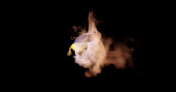 Καθιστούν Looping Από Κορυφαία Άποψη Της Φωτιάς Φλόγες Στην Κουζίνα — Αρχείο Βίντεο