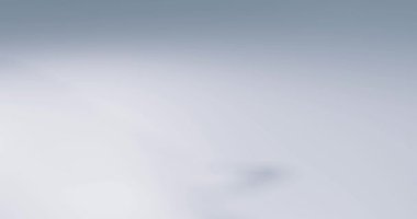 İlgili kavramlar için 3D tüfek mermisi düşüşü.