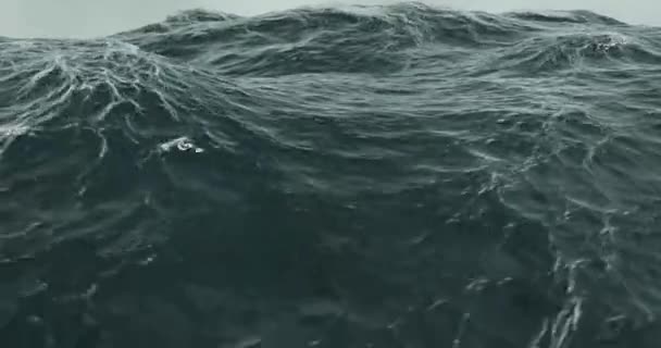 Rendering Mare Mosso Mosso Con Onde Acqua Piovana — Video Stock