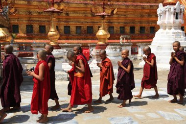 Shwezigon Pagoda, Myanmar 'daki acemilerle geçit töreni.